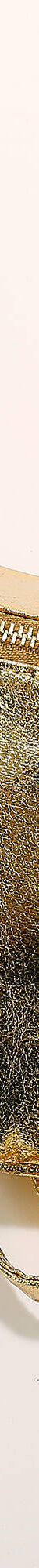 Sac banane irisé (doré) Sac banane irisé (doré)
